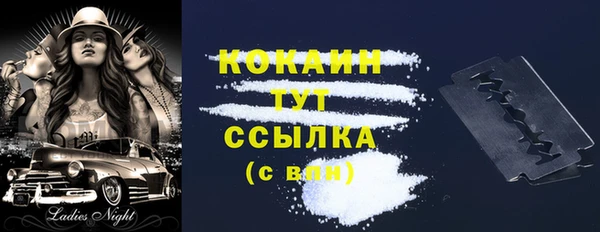 гидра Богданович