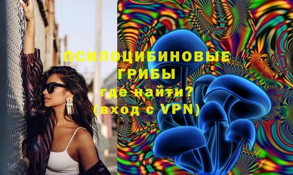 первитин Богородск
