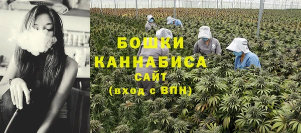 apvp Богородицк