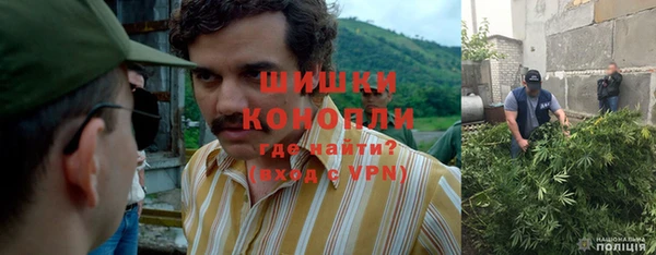 гидра Богданович