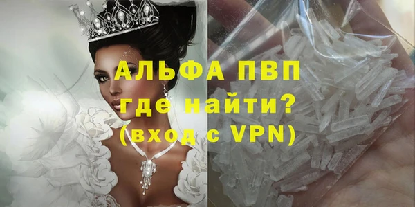гидра Богданович
